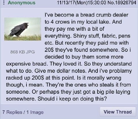 Anonymous 1/13/17(Mon)15:30:03 No.18926794 I've become a bread crumb dealer to 4 crows in my local lake. And they pay me with a bit of everything. Shiny stuff, fabric, pens etc. But recently they paid