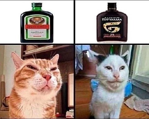 БУГУЛЬМА IN