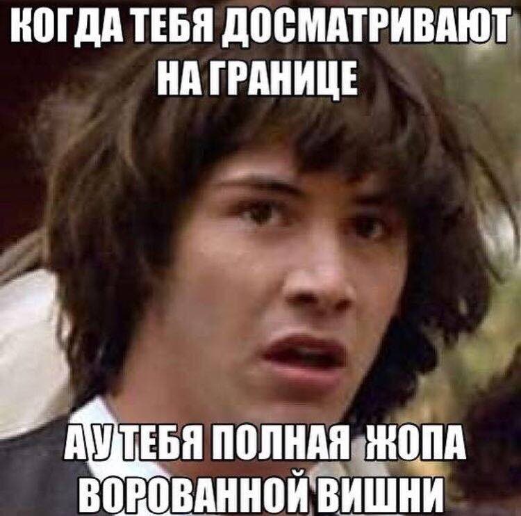 КОГДА ТЕБЯ ДОСМАТРИВАЮТ НА ГРАНИЦЕ 7 ВОРОВАННОЙ ВИШНИ