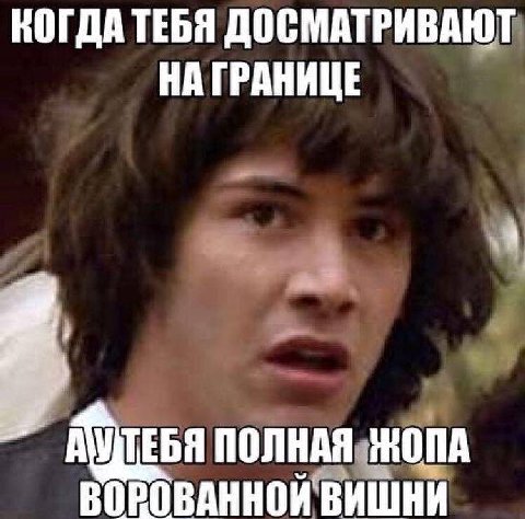 КОГДА ТЕБЯ ДОСМАТРИВАЮТ НА ГРАНИЦЕ 7 ВОРОВАННОЙ ВИШНИ