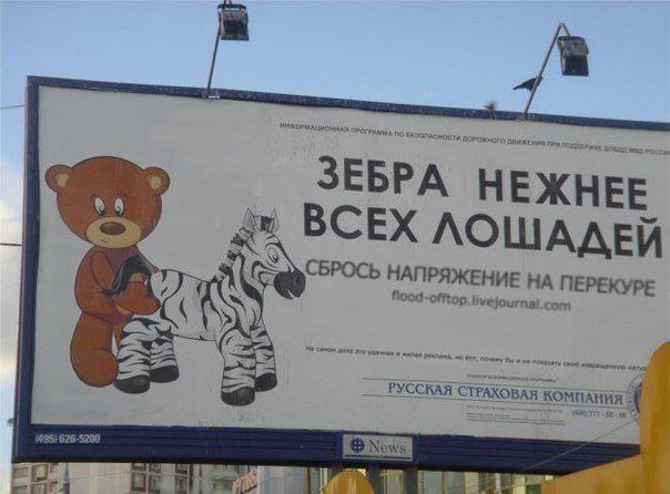 ЗЕБРА НЕЖНЕЕ ЛОШАДЕЙ НАПРЯЖЕНИЕ ПЕРЕКУРЕ бы we СТРАХОВАЯ