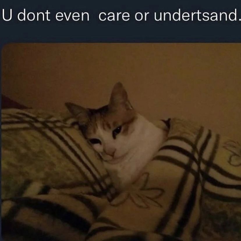 dont even саге or undertsand.