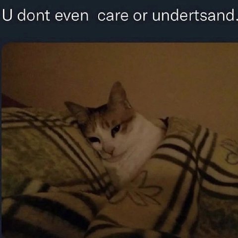 dont even саге or undertsand.