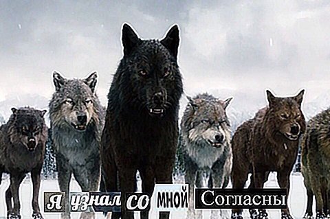 12 Согласны 4