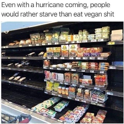 Even with a hurricane coming, people would rather starve than eat vegan shit