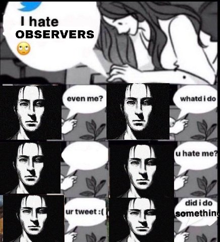 OBSERVERS