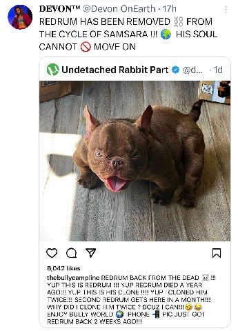 DEVON™ @Devon OnEarth REDRUM HAS BEEN REMOVED 53 FROM THE CYCLE OF SAMSARA HIS SOUL CANNOT MOVE ON Undetached Rabbit Part @а... 6,042 likes YUP THIS IS REDRUM YUP REDRUM DIED A YEAR thebullycampline R
