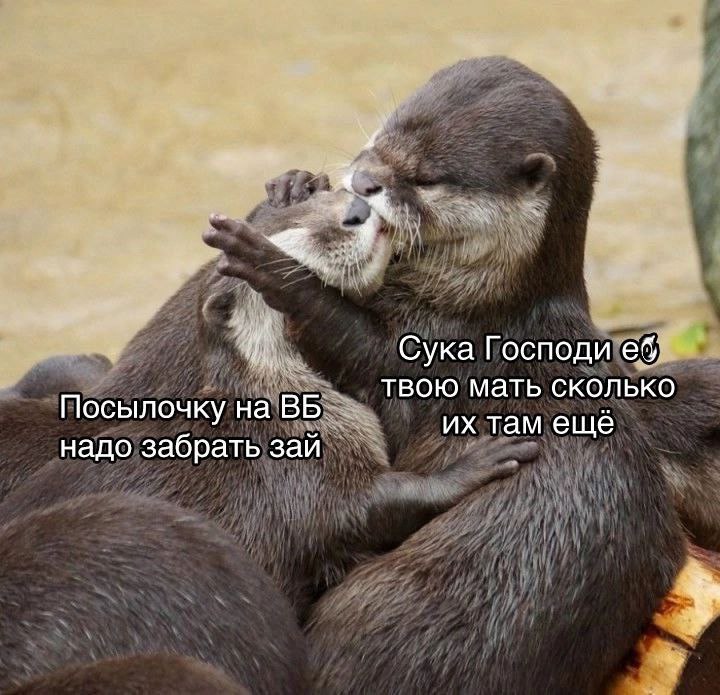 Сука Господи твою мать сколько Посылочку на там еще надо забрать зай