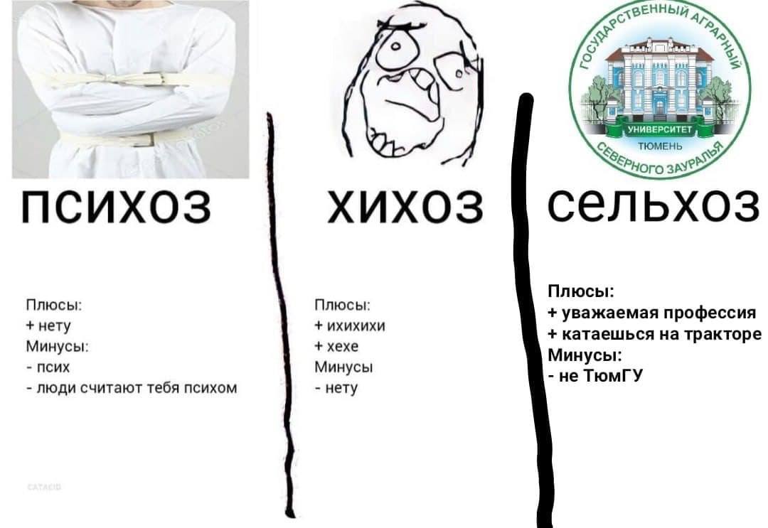ЗЕННЫЙ 95 УНИВЕРСИТЕТ ТЮМЕНЬ ПСИХОЗ XUXO3 сельхоз Плюсы: Плюсы: Плюсы: уважаемая профессия нету ихихихи хехе катаешься на тракторе Минусы: Минусы: ПСИХ Минусы не ТюмГУ люди считают тебя психом нету