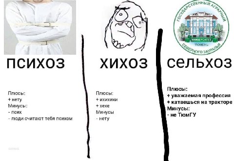 ЗЕННЫЙ 95 УНИВЕРСИТЕТ ТЮМЕНЬ ПСИХОЗ XUXO3 сельхоз Плюсы: Плюсы: Плюсы: уважаемая профессия нету ихихихи хехе катаешься на тракторе Минусы: Минусы: ПСИХ Минусы не ТюмГУ люди считают тебя психом нету