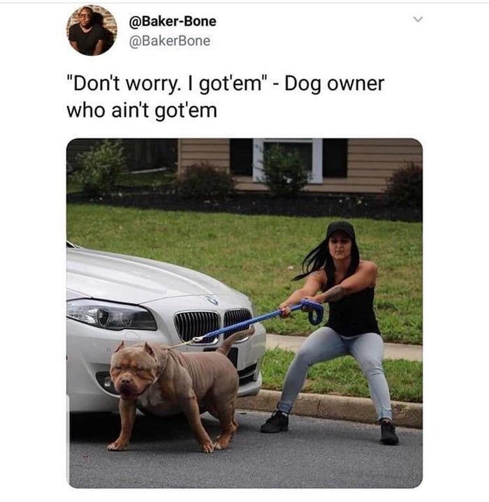 @Baker-Bone @BakerBone "Don't worry. got'em" Dog owner who ain't got'em