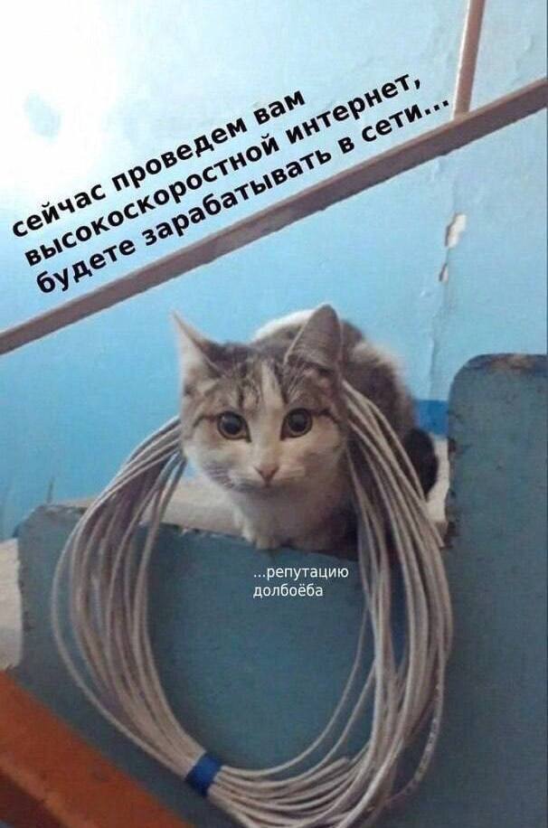 долбоёба