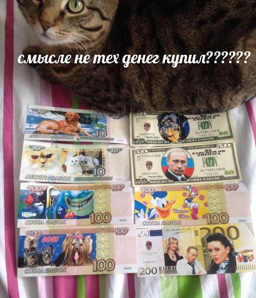 222222 слиясле не тех денег купил an we 100° 2 a We it 2004