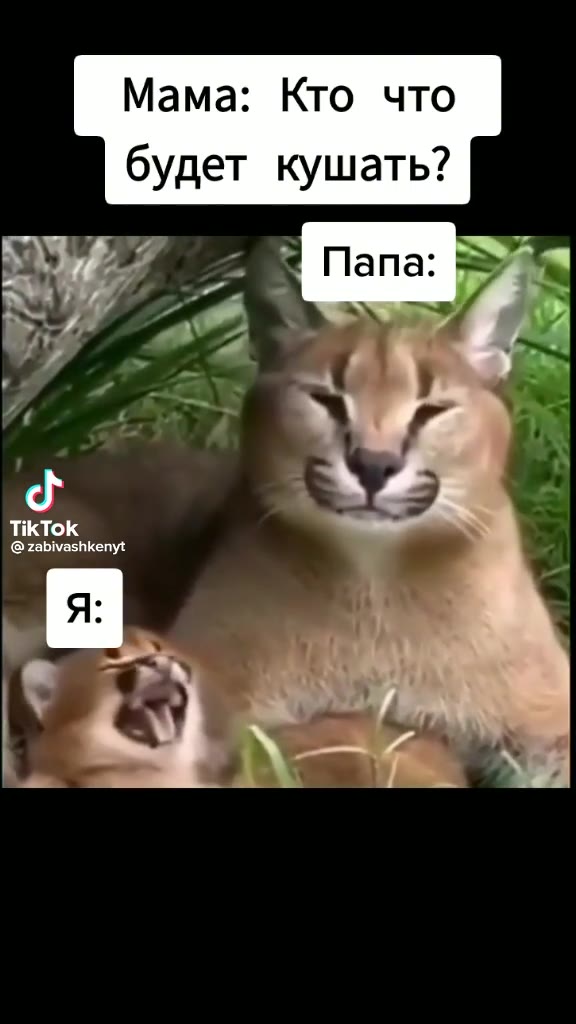 Мама: Кто что будет кушать?