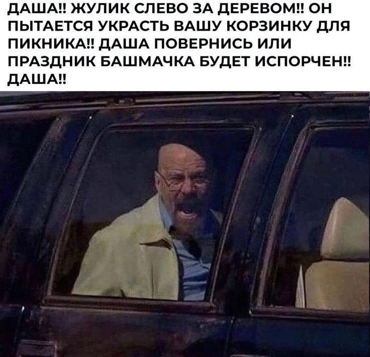 ДАША! ЖУЛИК СЛЕВО ЗА ДЕРЕВОМ! ОН ПЫТАЕТСЯ УКРАСТЬ ВАШУ КОРЗИНКУ ДЛЯ ПИКНИКА! ДАША ПОВЕРНИСЬ ИЛИ ПРАЗДНИК БАШМАЧКА БУДЕТ ИСПОРЧЕН!! ДАША!