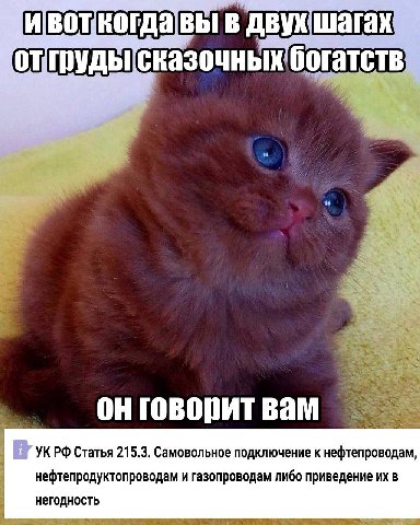 в двухшагах богатств говорит вам В УКРФ Статья 215,3. Самовольное подключение к нефтепроводам, нефтепродуктопроводам и газопроводам либо приведение в негодность