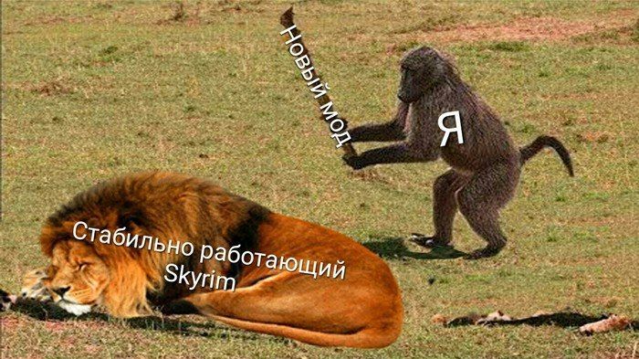 5 Стабильно