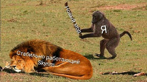 5 Стабильно