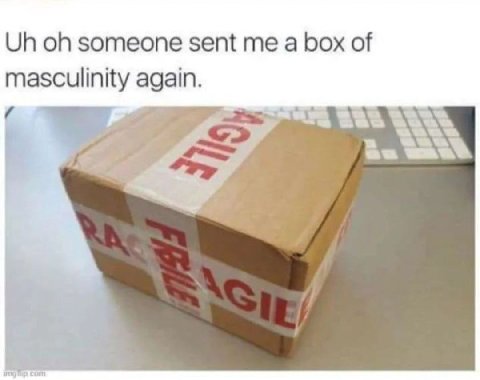 someone sent me a box of masculinity agen.