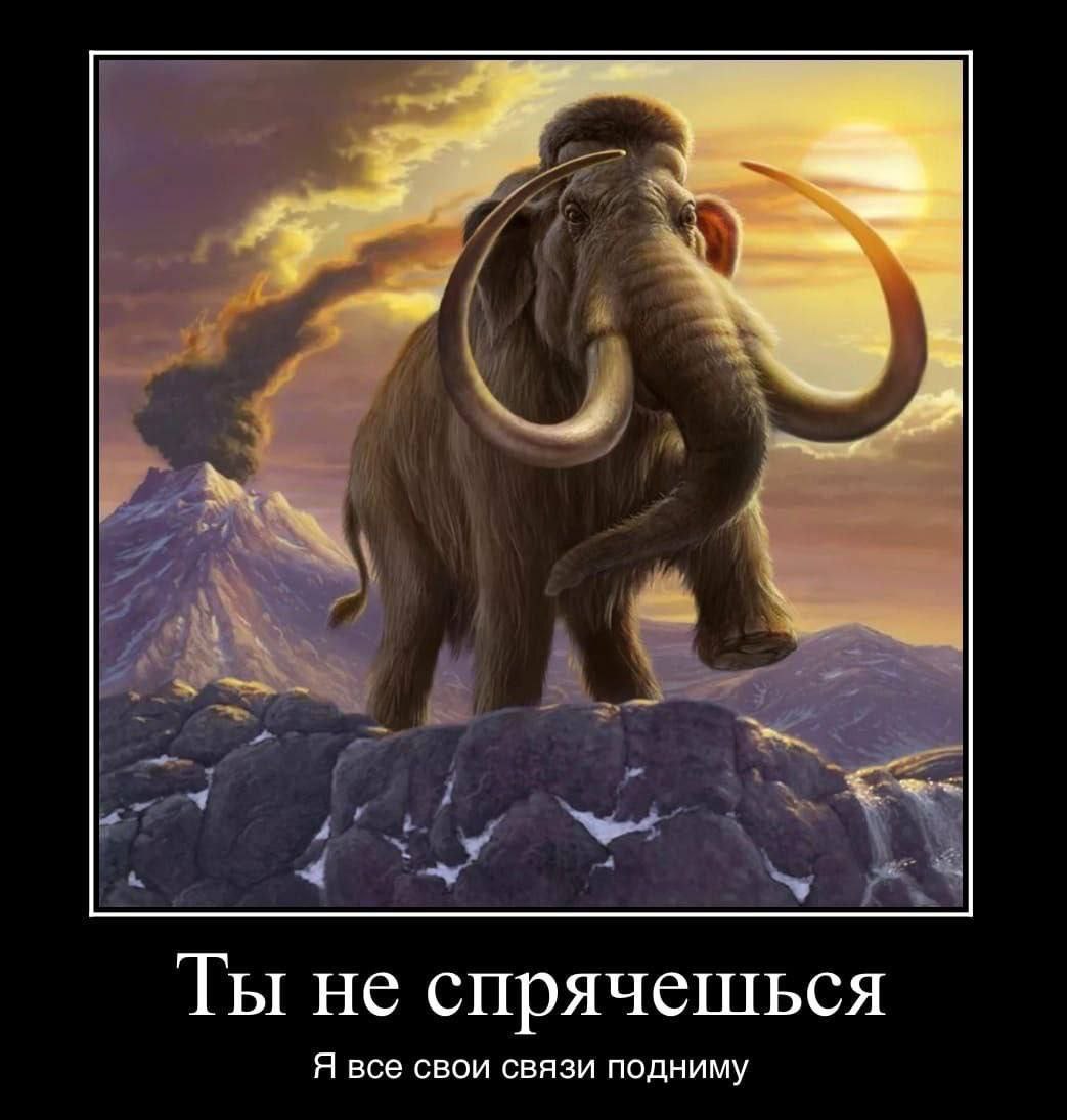 Ты не спрячешься Я все свои связи подниму