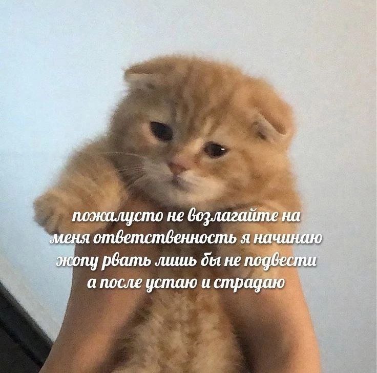 i a Я Me пожалусто не возлагайте на меня я начинаю бать лишь не подвести а после устаю и страдаю