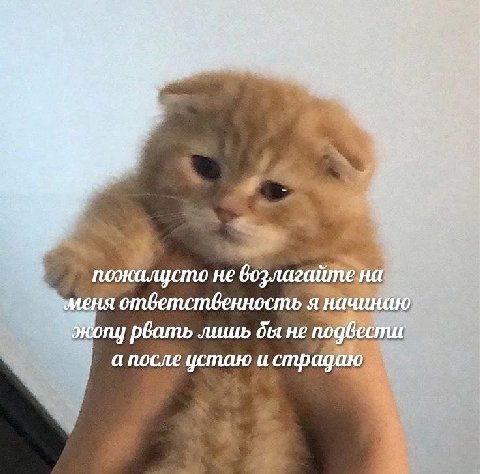 i a Я Me пожалусто не возлагайте на меня я начинаю бать лишь не подвести а после устаю и страдаю