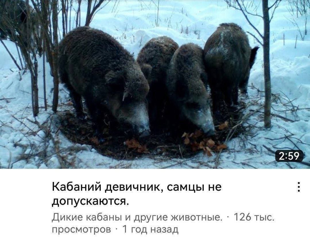Женские телеграм каналы