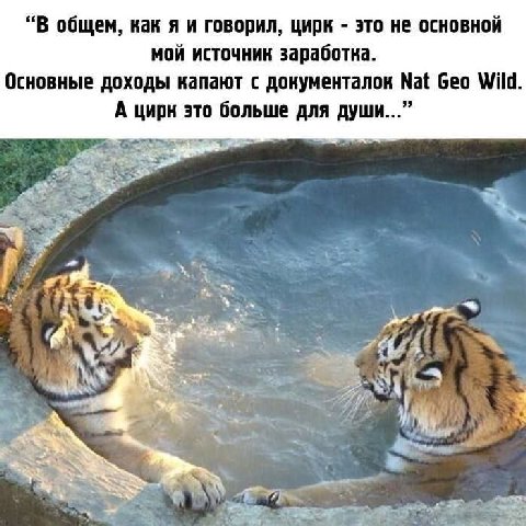 “В общем, как я и говорил, цирк это не основной мой источник заработка. Основные доходы капают с документалок Nat Geo Wild. А цирк это больше для души...” "4 у 7?