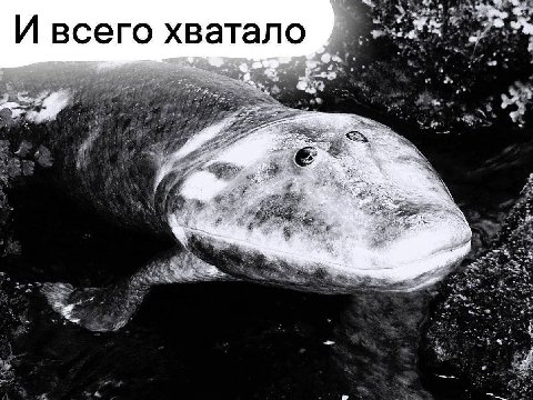 И всего хватало REA a We 9% an