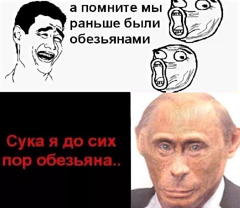 а помните мы Раньше были обезьянами