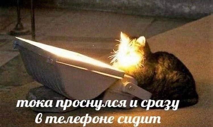 тока проснулся и сразу телефоне сидит