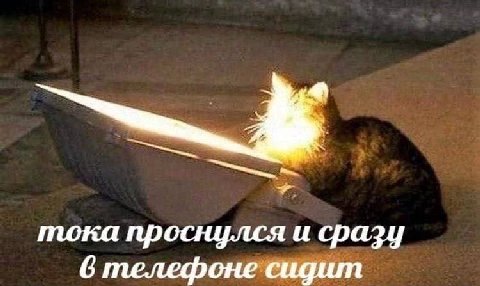 тока проснулся и сразу телефоне сидит