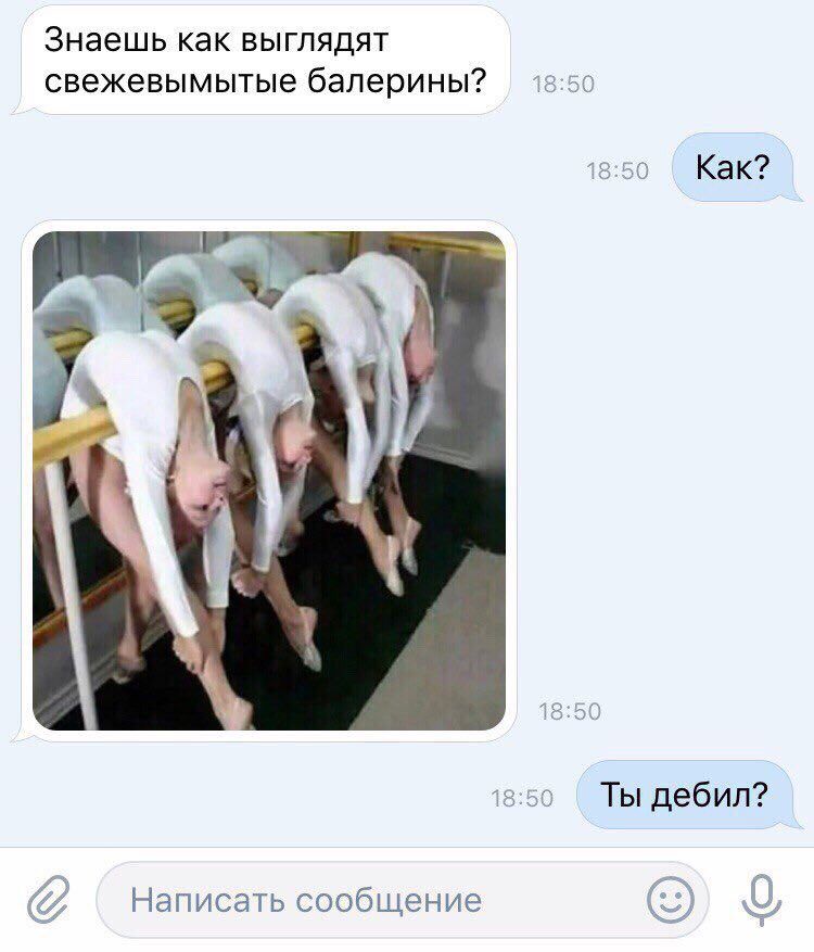 Знаешь как выглядят свежевымытые балерины? 18:50 18:50 Как? 1 18:50 18:50 Ты дебил? ‘Написать сообщение