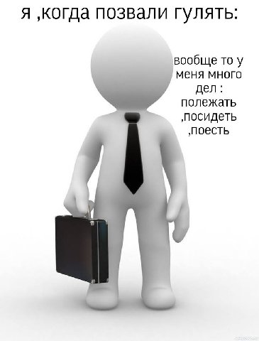 Я ‚когда позвали гулять: вообще то у меня много дел: полежать ‚посидеть ‚поесть