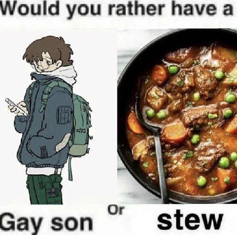 Would you rather have а Or Gay son stew