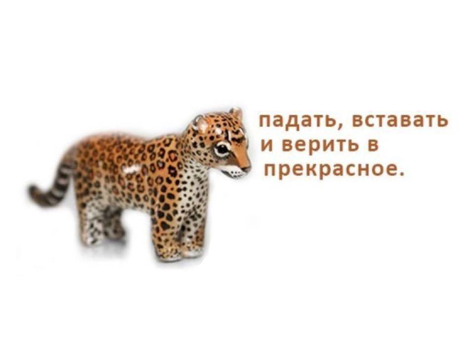 падать, вставать и верить в прекрасное.