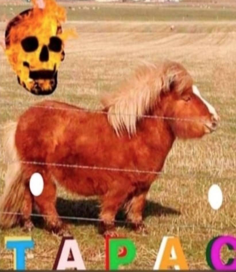 i A A