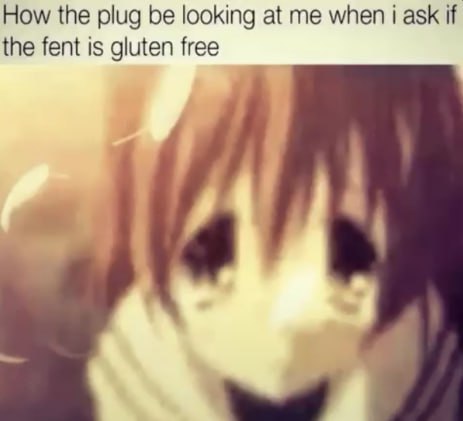 How the plug be looking at me when i ask if the fent is gluten free