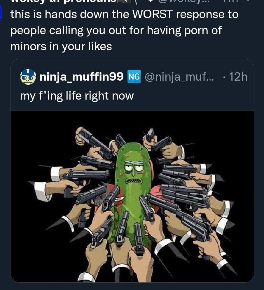 this is hands down the WORST response to people calling you out for having porn of minors in your likes ninja_muffin99 my f’ing life right now we