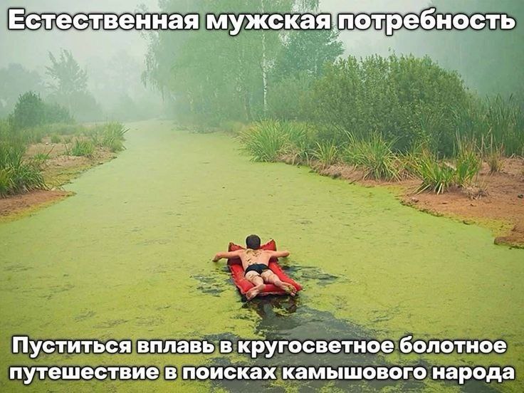 Естественная Пуститься вплавь в кругосветное болотное путешествие в поисках камышового народа