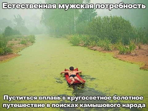 Естественная Пуститься вплавь в кругосветное болотное путешествие в поисках камышового народа