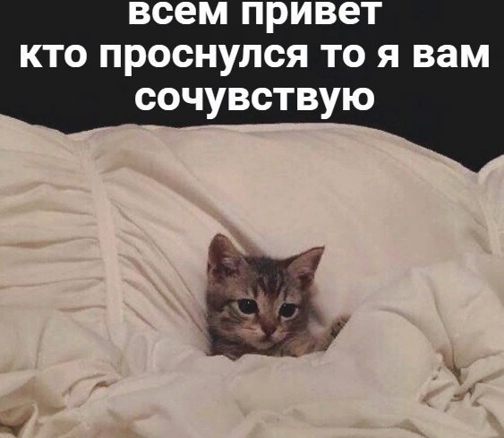 всем привет кто проснулся то я вам сочувствую