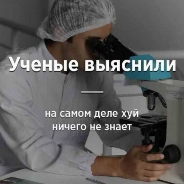 Ученые выяснили на самом деле хуй ничего не знает