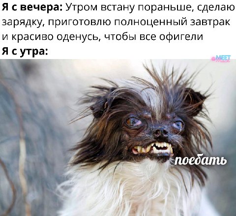 Ремастер оригинала, взятого у: Terra Idiotica ++