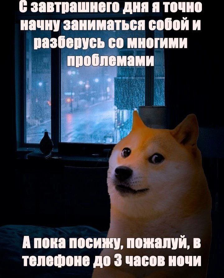 завтрашнего дня я точно начну заниматься собой и разберусь многими проблемами А пока посижу, пожалуй, в телефоне до 3 часов ночи