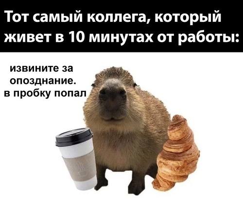 Тот самый коллега, который живет в 10 минутах от работы: извините за опозднание. в пробку nonan