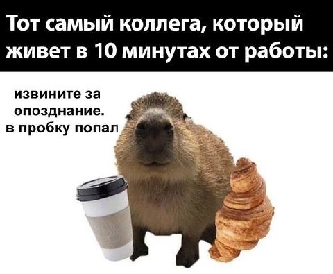 Тот самый коллега, который живет в 10 минутах от работы: извините за опозднание. в пробку nonan