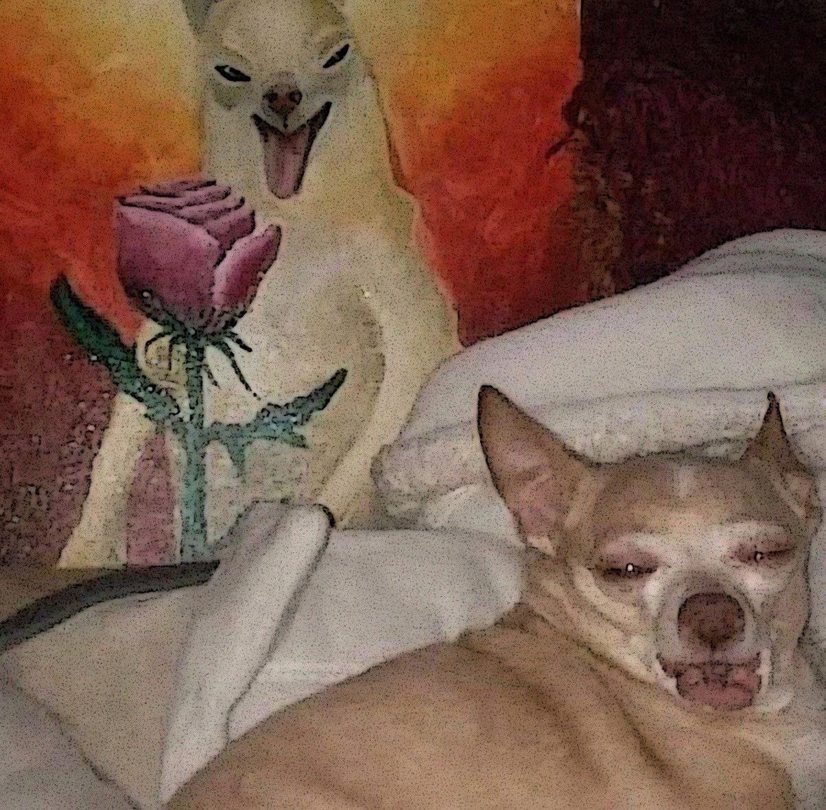 a a