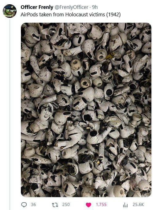 Officer Frenly @FrenlyOfficer AirPods taken from Holocaust victims (1942) A Pes a a 36 13 250 17-5 25.6К