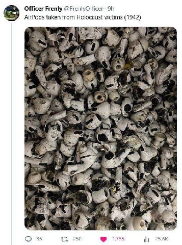Officer Frenly @FrenlyOfficer AirPods taken from Holocaust victims (1942) A Pes a a 36 13 250 17-5 25.6К